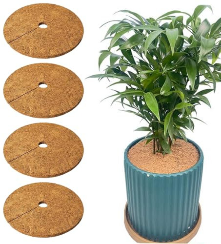 SGERUFZ 4 Pcs Tapis de Coco pour Protection Hivernale des Plantes Disque de Coco 20 cm Protège les Plantes Contre le Gel Idéal Toute l'Année