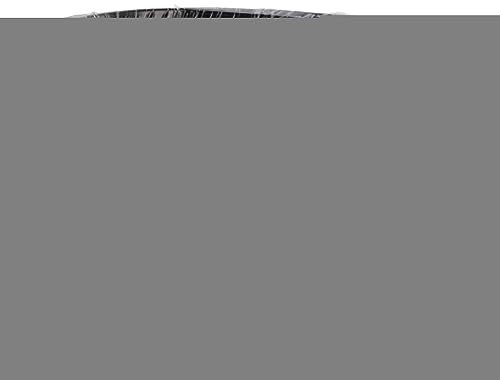 Bonsai-Draht, Aluminiumdraht, Trainingsdraht, 500 g, Schwarz, für den Gartenbau (3.5mm)