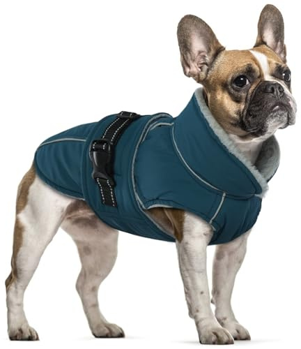 Hundrock medelstora hundar, hundrock vattentät hundtröja, vinterjackor och vinterrockar för hundar, varm fleecekappa (mörkgrön, M)