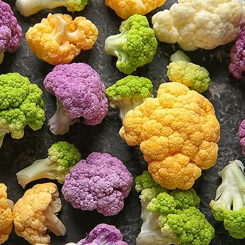 semillas de coliflor elevado decoración jardín exóticas balcón 225pcs