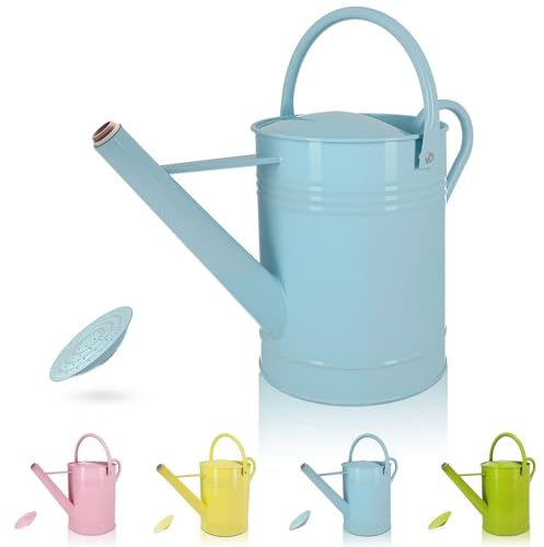 LONGRUN Regadera francesa de 6,5 L con aspersor de rosas, hecha de hierro galvanizado, color azul claro