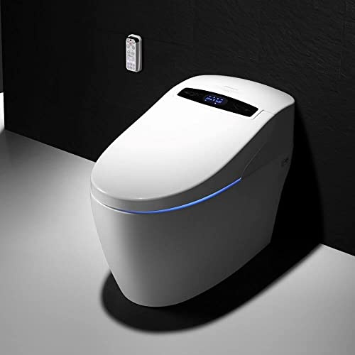 WC japonais monobloc Luxe Platinium 2 Toptoilet