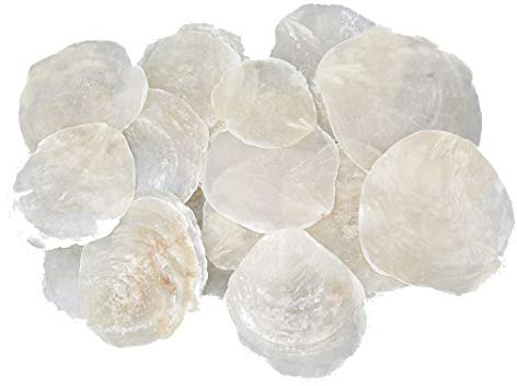 25 discos de nácar, color blanco natural, 7 – 11 cm, tarjetas de mesa, tarjetas de nombre, discos redondos, nácar, decoración marítima, ancla, boda en la playa, conchas