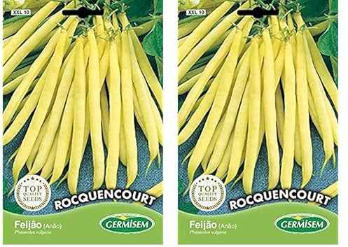 Germisem Rocquencourt Semillas de Frijol Francés 100 g (Paquete de 2)