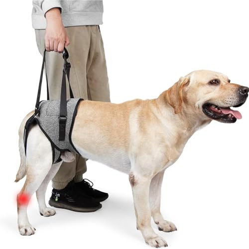 Arnés portador para perros, arnés ajustable para perros grandes, arnés anti-tirón para perros, arnés portátil para patas traseras de perros con mango de espuma, adecuado para apoyo y rehabilitación