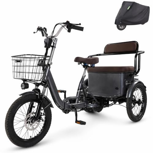 Tricycle Electrique Adulte Velo 3 Roues Freins a Disque Pneu 20 Pouces 3 Vitesses Ecran LCD Panier Avant Arriere Seniors Courses Commute Quotidien Grey