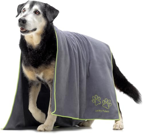 Lucky Paws® Serviette Chien Super Absorbante – Serviette pour Chien XL 140x70cm, Microfibre Ultra Douce, Séchage Rapide, Serviettes Artisanales de Qualité pour Chiens (Lot de 1, Gris/Vert)