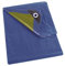 Perel Abdeckplane wasserdicht, Gewebeplane, Plane wasserdicht, Schutzplane, sehr stark, 16 Ösen, verstärkte Ecken, quadratisch, blau/grün, 110 g/m², 4 x 4 m