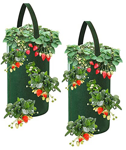 FALUCKYY - Juego de 2 macetas colgantes de fresas para jardines, bolsas de cultivo para fresas, plantas de tela, macetas colgantes, bolsas verticales para pared interior y exterior