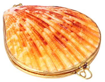 Schatulle Schmuckschatulle Klein Jakobsmuschel NatüRliche Muschel Schmuck Aufbewahrungsbox FüR Ringe Ohrringe Und Halsketten Reise SchmuckkäStchen Organizer 6 Cm