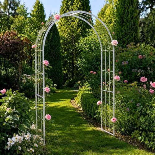 DanDiBo Arco per rose, zincato massiccio, 140 cm, resistente alle intemperie, 96519
