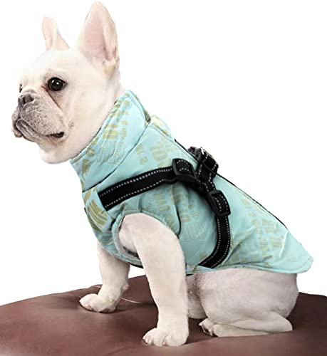Abrigo Cálido Impermeable para Perros, Chaleco con Forro Polar, Ropa Ajustable para Perro con Anilla para el Arnés, Correa con Reflectante, Cremallera Ajustable sin Mangas (Small, Turquesa)