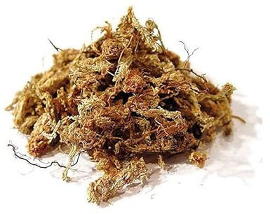 SFAGNO CILENO PREMIUM NATURALE – Substrato in Fibre ad Alta Ritenzione Idrica per Orchidee, Bonsai, Piante Tropicali e Carnivore – Sterilizzato, Antibatterico e Biodegradabile – Multi Formato (100g)