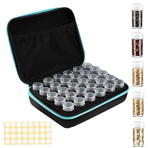 30 Slot Contenitore per Semi, Diamond Painting Kit Completo Organizer per Perline Scatola Portaoggetti per Semi Contenitori per Pittura a Diamante per Semi, Perline, Accessori Artigianali (Blu)