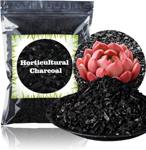 GOTVUGE Horticultural Charcoal for Plants 1L - All Natural Hardwood, Activated for Soil Amendment, Orchids, Terrariums, and Gardening