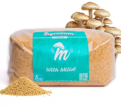 Mycelium 5 lb Millet Mushroom Grain Spawn | Pre-Sterilized Bag with Self-Healing Injection Port – Ideal for Fast, Clean Mycelium Growth | Ready to Inoculate for At-Home Cultivation | Made in USA