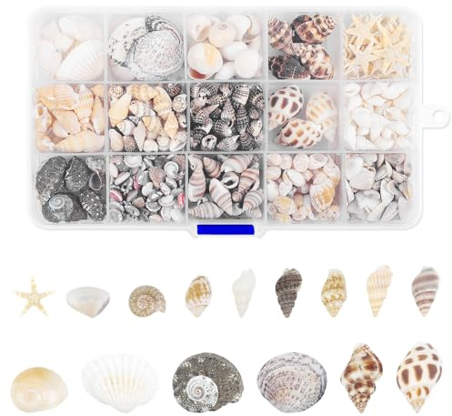 Fangoo 15 Types 800 Pcs Natural Tiny Mini Sea Shell Conch Starfish with 15 Compartment Plastic Box Ocean Beach Spiral Seashells for DIY Crafts Vase Filler Beach Theme Party Fish Tank Candle Making