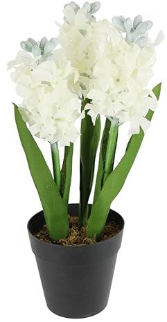 Konstgjord hyacint, vit i kruka – 30 cm, konstgjord blomma, dekorativ blomma, konstgjord blomma, vårblomma, vårblomma, vår, dekoration, realistisk vårdekoration, sidenblomma, påskblomma