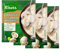 Knorr Instant Mushroomcream Soup 45 g (Pack of 3)