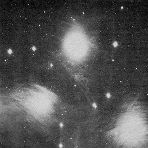 A I a : Alien Observer [Vinyl LP]