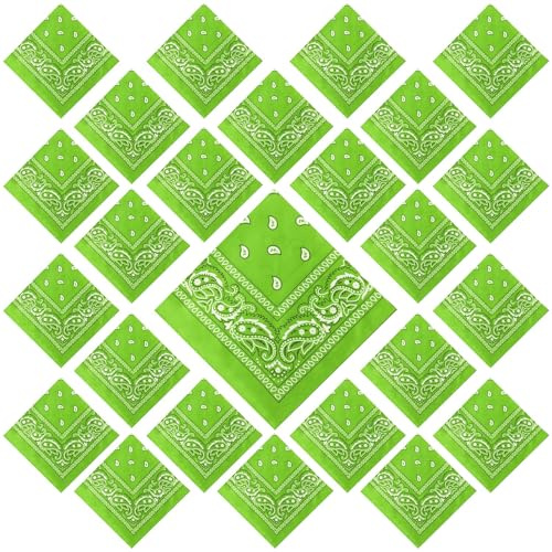 Suhine 24 Pcs Bandanas Bulk for Women Men 22 x 22 Inch Paisley Outdoor Headband Cowboy Handkerchief Summer(Fruit Green)