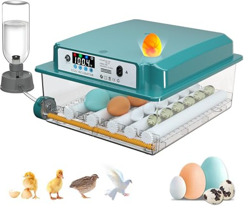 Chalixion Incubators for Hatching 16 Eggs, Egg Incubator with Automatic Egg Turning and Humidity Fill, Temperature Control, Incubator with Adjustable Rollers for Chickens, Ducks, Geese, and Quails