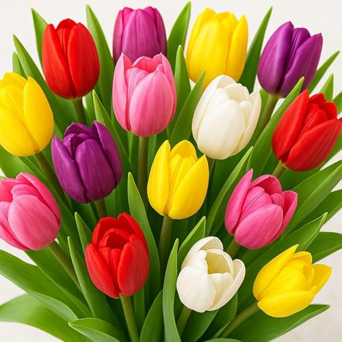 Mixed Triumph Tulips - Assorted Colors of Tulip Bulbs (50 Bulbs)