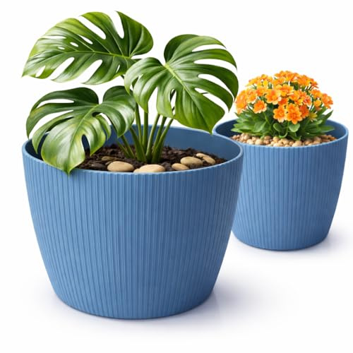 PECZEKO Macetero mate, macetero de plástico, maceta decorativa para plantas grandes, 2 maceteros de flores, macetero para hierbas, (2 unidades), color azul, diámetro de 22 cm