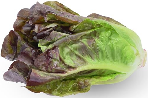 1000 Red Romaine Lettuce Seeds - Heirloom, Non-GMO, USA Grown, Premium Lettuce Seeds in Premium Packaging - by RDR Seeds
