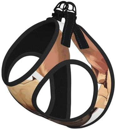 Hundegeschirr mit Leine für Hunde mit französischer Bulldogge, reflektierend, verstellbar, ausbruchsicher, mit weichem, atmungsaktivem Netzgewebe, für kleine Haustiere und Kätzchen, Welpen