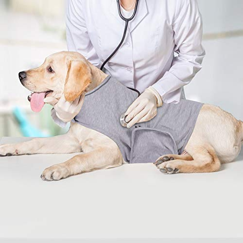 YUKOOL Abrigo de ansiedad para perros, chaleco ligero y calmante para perros, chaqueta de ansiedad para perros, utilizada para terapia instantánea para exceso de emoción en rayos y fuegos