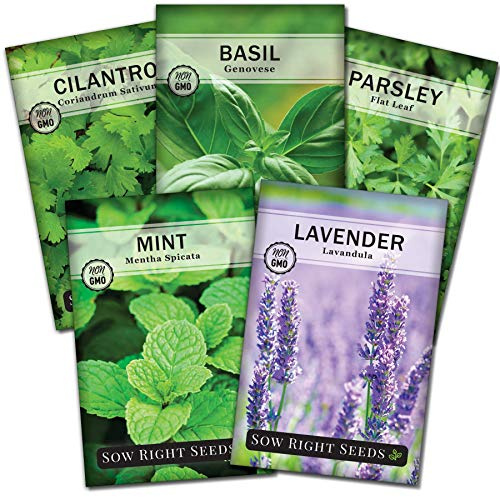 Sow Right Seeds - Most Popular Herb Seed Collection for Planting - Mint, Lavender, Sweet Basil, Cilantro, and Parsley - 5 Packets with Instructions to Grow a Home Kitchen Garden or Hydroponics