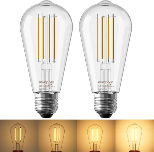 2 Stück E27 LED 8W Edison Vintage Glühbirne, ST64 Filamente LED Lampe Vintage Glühbirne, Ersetzt 60W Glühlampen, Warmweiß 2700K, 806LM, Dimmbar, Dekoration Beleuchtung für Haus, Café, Bar,Kronleuchter