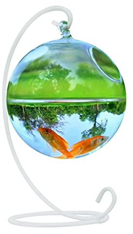 Gissroys Petit plateau de table en verre Vase créatif à suspendre Boule peu encombrant Vase pour aquarium pour décoration de la maison