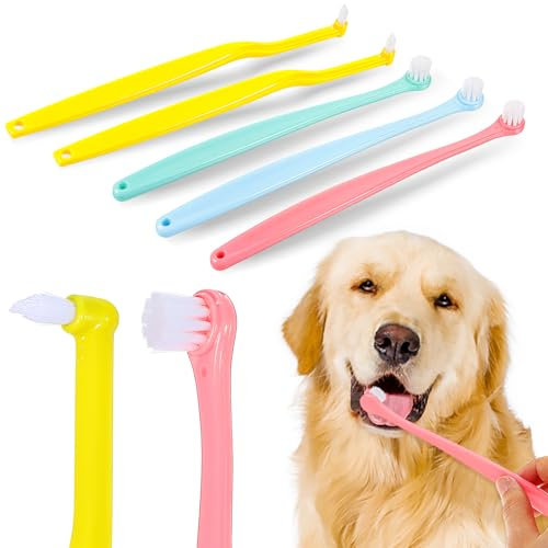 Gjinxi 5 Teilige Kleine Katzenzahnbürste Hundezahnbürste Weiche Runde Und Spitze Zahnbürstenköpfe Zahnpflegeset für Unterwegs mit Haustieren Tragbares Zahnputzset für Kleine Haustiere Welpen Kätzchen