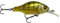 Savage Gear Gravity Crank MR - Premium Wobbling Crankbait für Barsch, Hecht, Forelle, Zander & Barsch, magnetisches Weitwurfsystem & eingebaute Rassel, Süß- und Salzwasserangeln Perch 5,8 cm