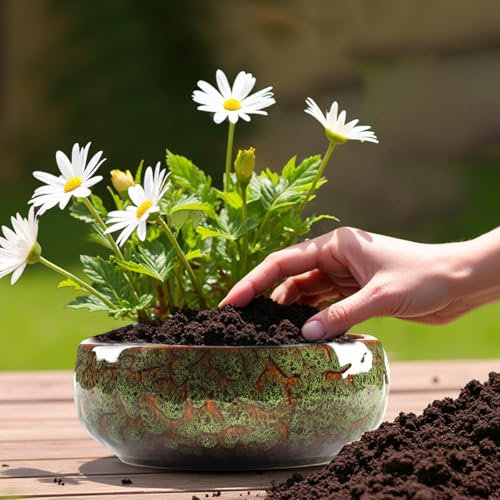 Fioriera a forma di loto, ciotola in ceramica per fiori di loto, ciotole di loto, per piantare in acqua all'interno, vasi di loto per piante acquatiche, applicabile a piante grasse idroponiche (verde)