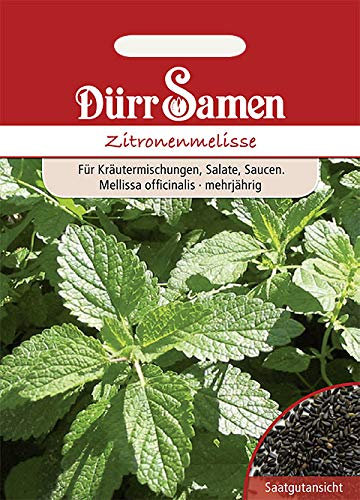 Dürr-Samen - 100 x Zitronenmelisse Saatgut für Küche, Hochbeet & Gewächshaus - Zitronenmelissesamen zum Pflanzen für Kräutergarten - Zitronen Melisse Samen - Gewürz- & Kräutersamen Saat zum Anbauen