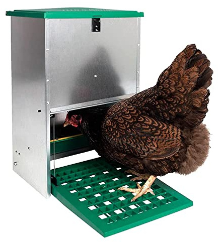 FINCA CASAREJO Mangeoire Anti-Oiseaux – Mangeoire Automatique pour Poules – Mangeoire extérieure – Capacité 5 Kg