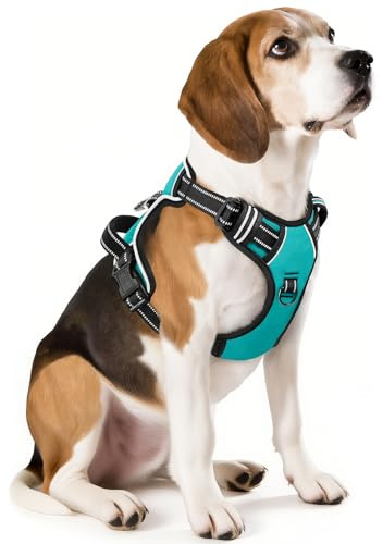 HEELE Hundegeschirr, No-Pull Brustgeschirr für Mittelgroße Hunde, Weich Atmungsaktiv Einstellbar Reflektierend Geschirr Anti Zug mit Gepolstert Griff, Türkis, M