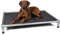 TrendPet HighBed hochwertiges erhöhtes Hundebett, Premium Hochbett, Hundeliege aus eloxiertem Aluminium (125x90cm)