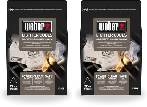 Weber Firelighters (22 Pieces), for igniting charcoal & briquettes, easy handling, without odor or unpleasant taste, environmentally friendly & safe (17945) (Pack of 2)