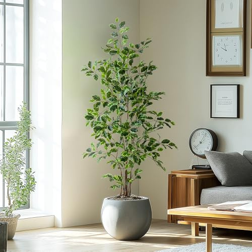 Bailikang Artificial Ficus Tree Indoor 5ft, Large Potted Faux Tree with Realistic Silk Leaves & Trunk for Home Office, Living Room Corner Decor