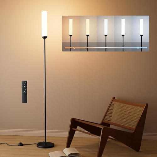 PreeOtti Lampadaire sur Pied Salon, lampadaire LED Dimmable, 5 Températures de Couleur avec Télécommande et Pédale de Commande, LED Lampe sur Pied Moderne Noir pour Chambre, Étudier, Bureau
