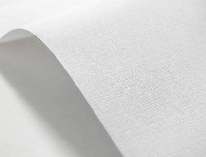 Netuno 100x Strukturpapier Weiß Karomuster DIN A4 21 x 29,7 cm 185g Elfenbeinkarton White Prägekarton Bastelpapier Struktur bedruckbar für Einladungskarten Visitenkarten Diplome Menükarten