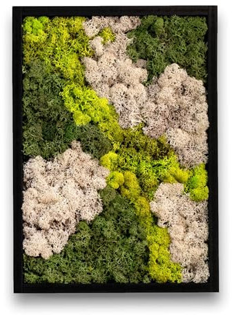 comforder Rechteckiges Wandbild mit echtem Moos (27x38 cm), Konserviertes Moosbild mit Holzrahmen, Natur Wanddeko fürs Wohnzimmer
