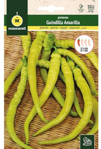 Mascarell Graines, poivron piment jaune, graines de piment jaune variété épicée, graines pour potager urbain, idéal pour cornichons et sauces, 1 g