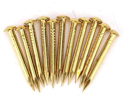 Clou en laiton, clou à tête ronde 100Pcs, meubles en bronze à fonction de fixation forte pour la maison(22mm long and bold)