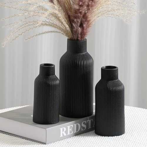 Hanaomaoyi Svart keramisk blomvas, set med 3, Pampasgräs, liten vas för dekor, matbord, hylldekor, spisel, entrédekor och bordsuppsatser, minimalistisk modern, bohemisk
