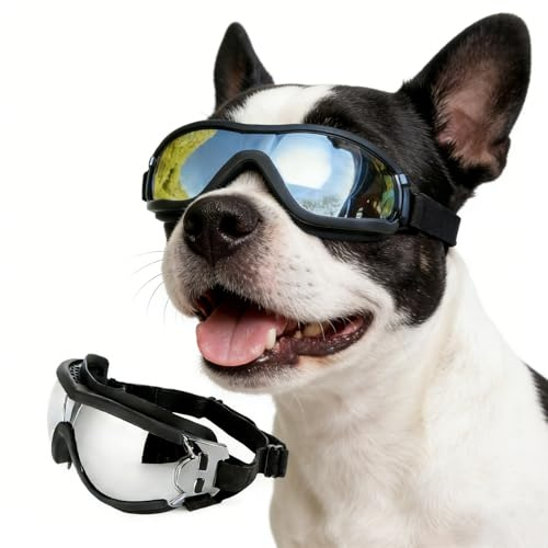 Namsan Hundglasögon för medelstora hundar Hundskyddsglasögon Vindskydd/Ögonskydd/UV-skydd Hundsolglasögon med justerbar bandfäste